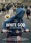 white god poster.jpg